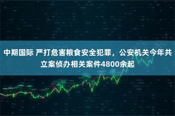 中期国际 严打危害粮食安全犯罪，公安机关今年共立案侦办相关案件4800余起